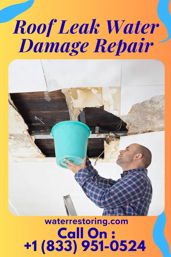 Roof Leak Water Damage Repair in Laurel Run, PA