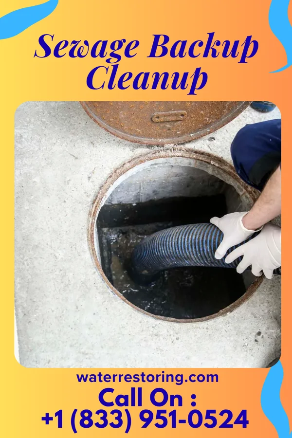 Sewage Backup Cleanup in Laurel Run, PA